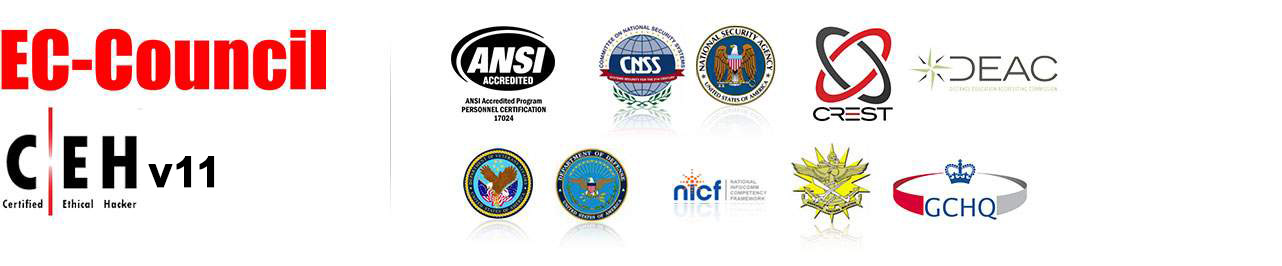 Certified Cyber Security Professional (C|CSP)